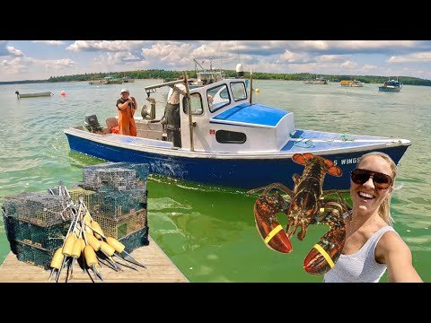 Thumbnail for 8 Year Old Boy took Crystal on his Mini Commercial Lobster Boat (Catch & Cook)