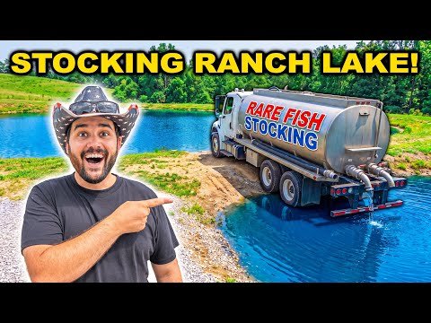 Thumbnail for Stocking ABANDONED RANCH LAKE with EXOTIC FISH!!!