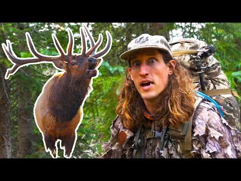 Thumbnail for Intense Bugling Action! - Elk Hunting the RUT with MULTIPLE Weapons!