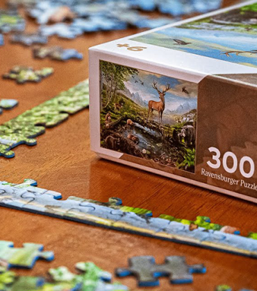 NATURE Puzzle Timelapse (Woodland Wildlife | Ravensburger)